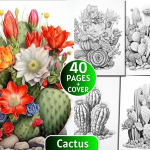 40 Cactus Coloring Book, Grayscale Coloring Book for Adults and Kids, Cactus And Succulent Coloring Page,Digital Download,Printable PDF File