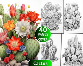 40 desenhos de cactos para colorir, livro de colorir em tons de cinza para adultos e crianças, páginas para colorir de cactos e suculentas, download digital.