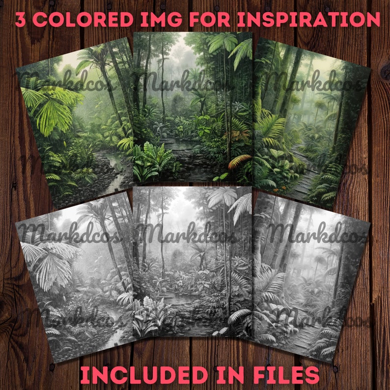 May include: Three images of a jungle scene. The first image is in color, the second is in grayscale, and the third is a black and white line drawing. All three images show a path through the jungle with trees and plants on either side.
