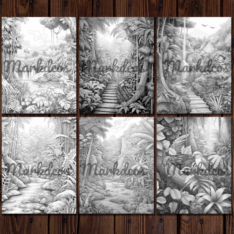 May include: Six black and white illustrations of a jungle scene. Each illustration features a different perspective of a lush jungle with waterfalls, trees, and foliage.
