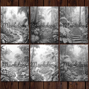May include: A black and white pencil drawing of a lush jungle scene with a winding path and a waterfall. The drawing is divided into six sections, each depicting a different part of the jungle.