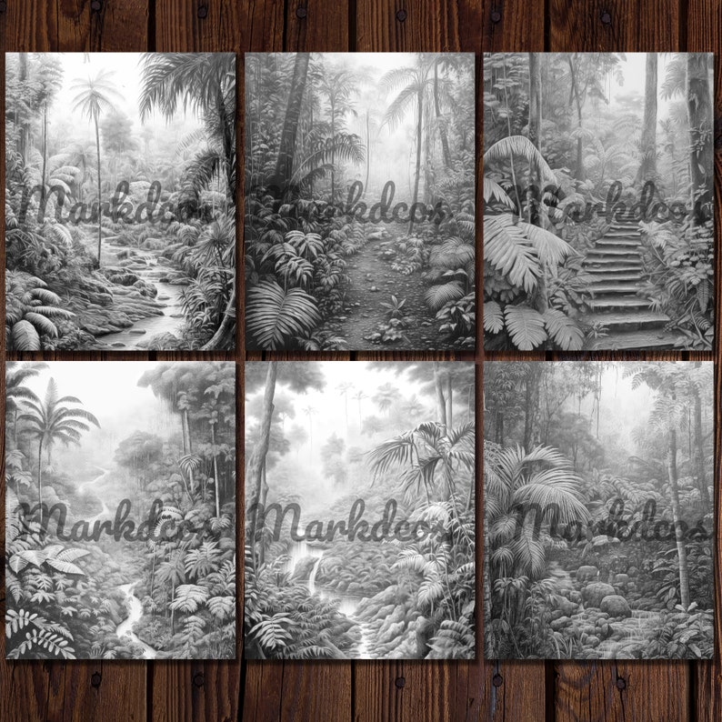 May include: A black and white pencil drawing of a lush jungle scene with a winding path and a waterfall. The drawing is divided into six sections, each depicting a different part of the jungle.
