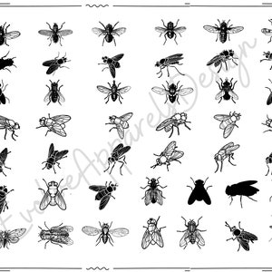 Insect SVG , Insect Bundle SVG, Fly Vector, Fly Bundle SVG, Fly svg, Fly Fishing svg Bundle, horse fly svg, bug svg, flies svg, Flies Vector