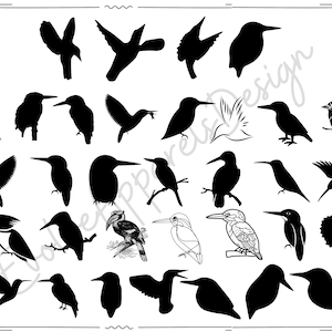 Kookabura Kingfisher Bird Tree Terrestrial Carnivore Cricut,Silhouette,Cut,Engrave,Stencil,Sticker,Decal,Vector,Clipart