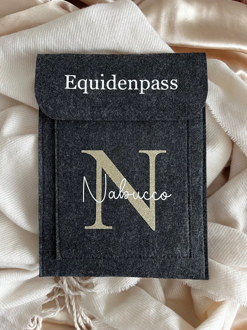 Equidenpass Hülle, personalisierte Pferdepass Hülle aus Filz, Anthrazit, Geschenk für Beste Freundin, Geschenk Pferdemädchen, Pferdezubehör Bild 1