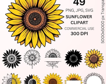 Sunflower Clipart Bundle, Vintage Sunflower PNG SVG JPG, Floral Sunflower Graphics, Boho Flower Design, Commercial Use