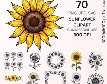 Sunflower Clipart Bundle, Hand Drawn Sunflower PNG SVG JPG, Floral Sunflower Graphics, Boho Botanical Design, Commercial Use