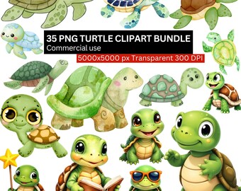 Op de afbeelding: Een verzameling cartoon schildpad clipart in verschillende poses en kleuren, waaronder groen, bruin en blauw. De afbeelding bevat de tekst "35 PNG Turtle Clipart Bundle" en "Commercial use".