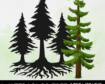 Clipart acquerello di pino, albero del bosco PNG SVG JPG per sublimazione e artigianato