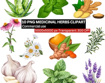 Medicinal Herbs Clipart Bundle, 10 PNG Herbal Plants Illustrations, Botanical Watercolor Herbs PNG, Healing Plants Sublimation