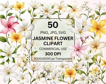 Paquete de imágenes prediseñadas de flores de jazmín en formato PNG, imágenes prediseñadas de flores de jazmín en acuarela, imágenes prediseñadas florales botánicas en formato PNG, imágenes prediseñadas de jazmín blanco, imágenes prediseñadas de flores de jardín en formato PNG.