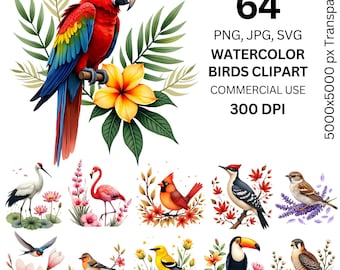Paquete de imágenes prediseñadas de aves en acuarela, 64 imágenes PNG, JPG y SVG de aves, arte de aves tropicales y de jardín, ilustraciones florales de aves, imágenes prediseñadas de acuarela de naturaleza