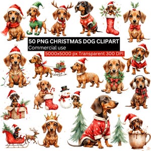 Puede incluir: Colección de ilustraciones en acuarela con perros salchicha vestidos con atuendos navideños. Los perros lucen gorros de Papá Noel, bufandas y suéteres, y algunos posan con accesorios navideños. Texto: "50 PNG CHRISTMAS DOG CLIPART Commercial use 5000x5000 px Transparent 300 DPI."