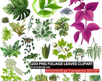 Foliage Leaves Clipart Bundle, 100 PNG Botanical Greenery, Tropical Plants, Houseplants, Transparent Background, Commercial Use