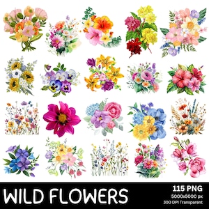 Flores silvestres en acuarela PNG, paquete de 115 imágenes prediseñadas florales, flores botánicas PNG transparentes, papelería para bodas, álbumes de recortes y diseños de arte mural