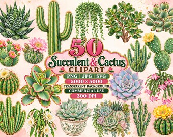 Succulent Cactus Clipart Bundle, 50 Watercolor PNG SVG Designs, Boho Desert Plant Illustrations, Instant Download Commercial Use