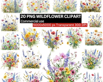 Wildflower Clipart Bundle, 20 PNG Watercolor Floral Illustrations, Meadow Flower Bouquet PNG, Botanical Sublimation Digital Download