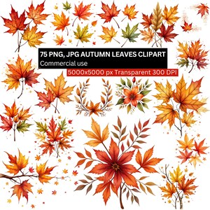 75 PNG JPG Autumn Leaves Clipart, Fall Leaf Watercolor Bundle, Autumn Foliage PNG, Maple Leaf Clipart, Fall Watercolor Art Bundle 300DPI