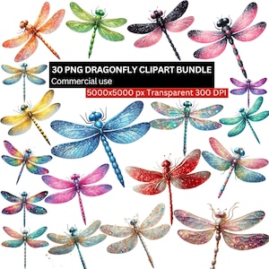 May include: A set of 30 PNG dragonfly clip art images in a variety of colours, including orange, green, blue, pink, and red. The clip art is for commercial use and has a transparent background. The image text reads "30 PNG DRAGONFLY CLIPART BUNDLE".