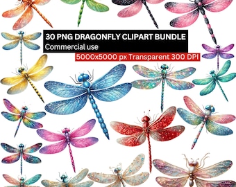 Watercolor Dragonfly PNG, 30 Colorful Clipart Designs, Transparent Background, 300DPI, Commercial License, Digital Download