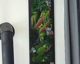 Moss picture/ Forest picture/ Preserved moss/ Natural decoration/ 3D picture/ Wall art/ Tree bark/ Modern pictures
