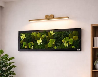 Moss picture in vibrant colors, conserved moss, ferns, grasses