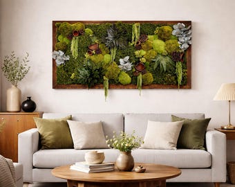 Moss picture - Plant picture - Rustic
