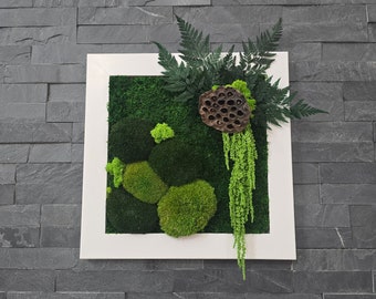 Image de mousse, mousse convertie, fougère, amarante, fleur de lotus, cadre en bois, mur vert, beau cadeau, nature dans le salon, peinture murale
