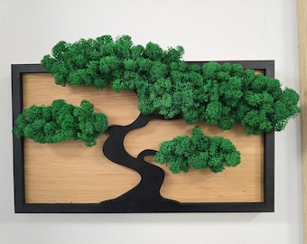 Moss picture/ Bonsai on oak wood/ Wall picture/ Home decoration/ Beautiful gift/ Preserved moss/ Oak wood / Available individually and in a set
