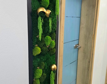 Moss picture, elegant gold accents, wall decoration, green living space, wooden frame, beautiful gift, preserved mosses and plants, nature