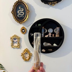 May include: A glass vial with a snake skin inside, held in a hand. The vial has a cork stopper. Decorative framed art pieces are on the wall, including a butterfly and snake design. A black shelf with moon phases and small objects is also visible.