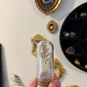 May include: A small glass cloche containing a dried plant and a purple crystal. The cloche is held in a person's hand. Decorative gold framed art pieces are in the background.