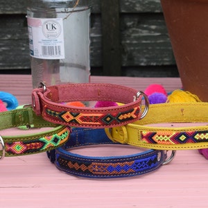 Handmade Mexican Leather Dog Collars: Medium Sized Dog - (Fits Neck 30 cm - 35 cm )