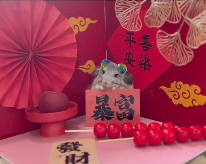 Little Totoro Spring Festival Blessings Video 2+1 special package