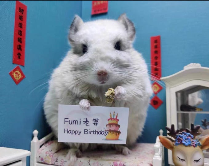 Little Totoro customised Happy Birthday Blessings Video