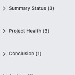 Projektmanagement Report Vorlage