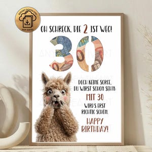 May include: A framed print with the text "OH SCHRECK, DIE 2 IST WEG!" and "HAPPY BIRTHDAY!". The number 30 is prominently displayed, with a surprised llama illustration below. The numbers are filled with images of money.