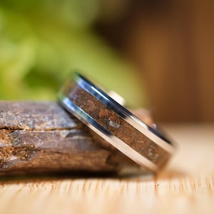 Raptor Fossil Ring – Real Dinosaur Bone – Limited Edition Tungsten Carbide Ring – Handmade Prehistoric Jewelry – Fossil Wedding Band