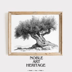 Printable Ancient Olive Tree Sketch - Vintage Black and White Art, Rustic Botanical Ink Drawing, Cottagecore Wall Decor, Nature Print 1335