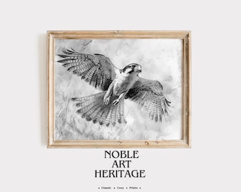 Falcon in Flight Black and White Sketch - Rustic Wildlife Wall Art, Printable Avian Decor, Vintage Bird Art, Nature Illustration 1326