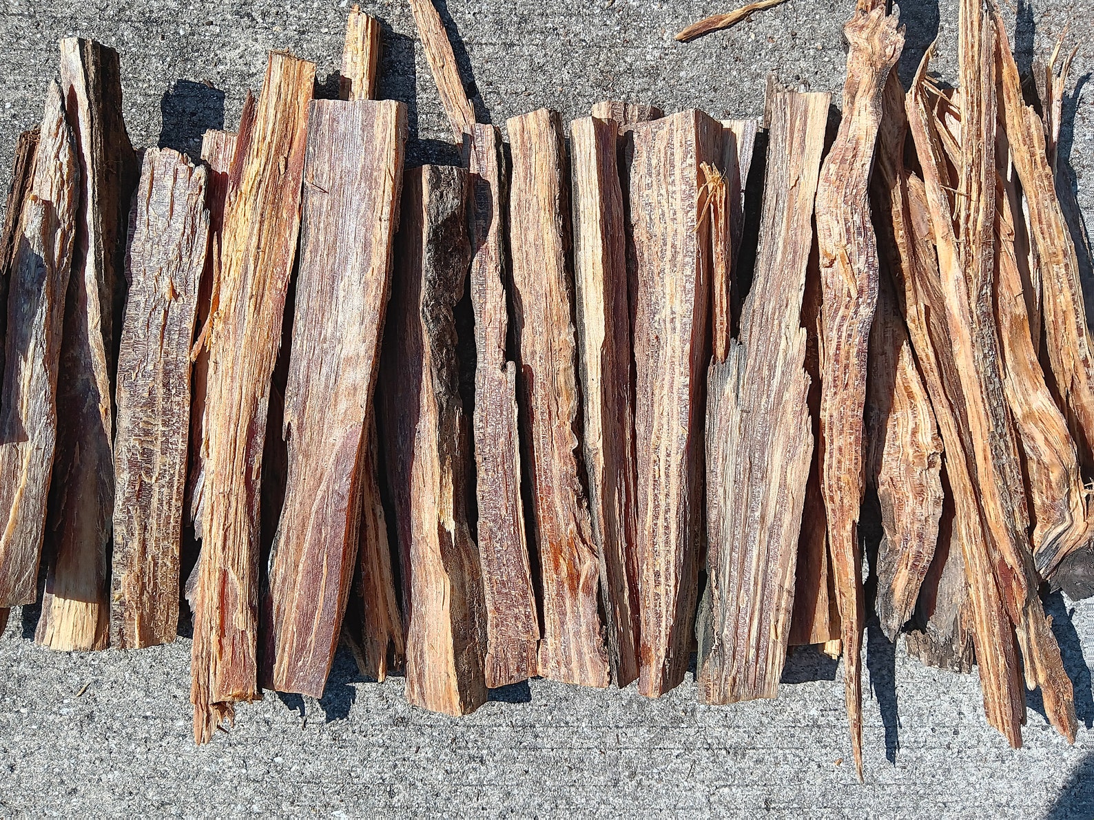 10 Lbs premium Lighter Knot Fatwood Natural Fire Starter Etsy