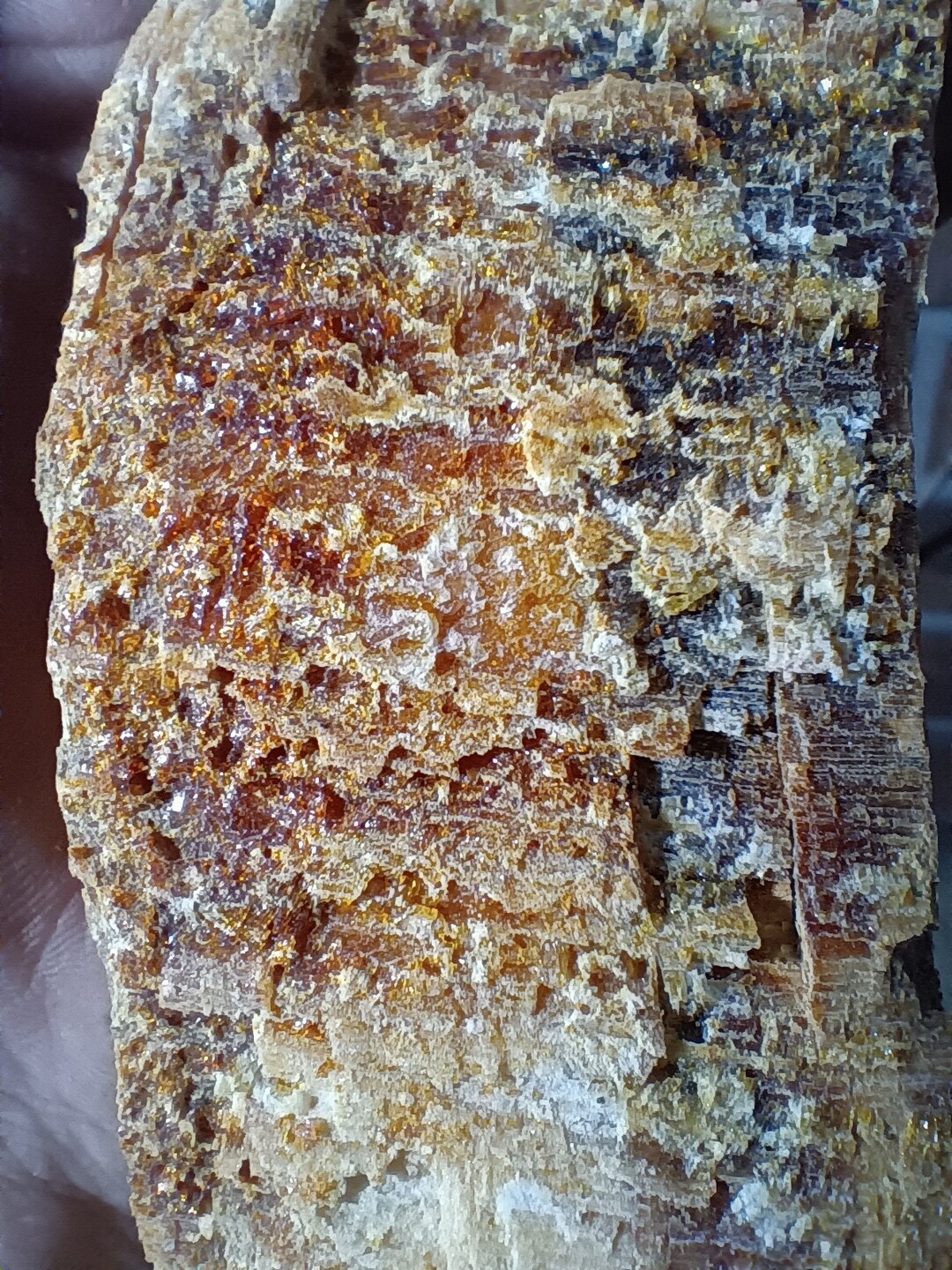 10 Lbs premium Lighter Knot Fatwood Natural Fire Starter Etsy