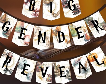 Printable Wizard Gender Reveal Garland, Baby Shower Pennant, Wizard Banner, Big Gender Reveal Pennant Chain, Magical Decoration Pennant