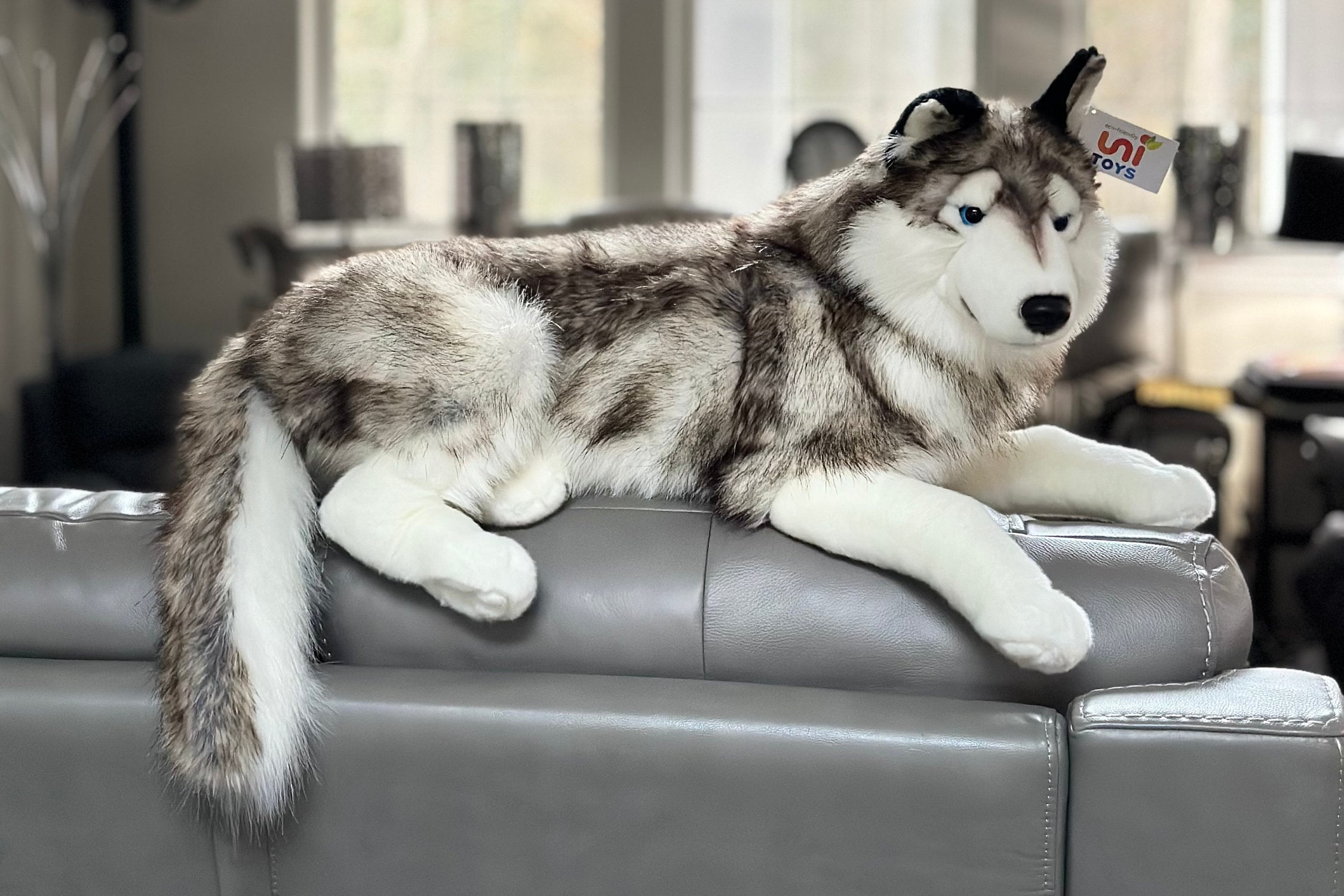 Huge Husky Plush Dog Large sellers Husky