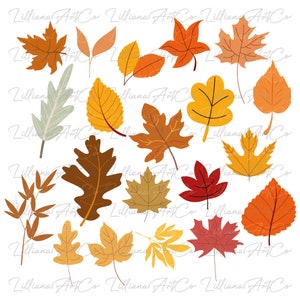 Herbst Blätter SVG Bundle I 20 Designs Herbst Blätter SVG I Herbst Blatt SVG I Herbst Blätter Png I Herbst svg Dateien für Cricut I Silhouette I