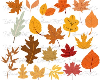 Fall Leaves SVG Bundle I 20 Designs Fall Leaves SVG I Fall Leaf SVG I Fall Leaves Png I Autumn Svg files for Cricut I Silhouette I