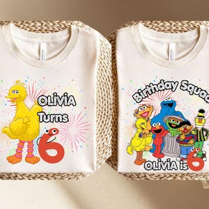 Custom Sesame Street Birthday Family Shirt, Family Matching Birthday Tee, Sesame Street Character Family Shirt, Vintage Cartoon Shirt