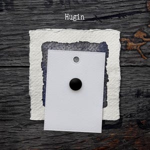 PB29/PBr7 Hugin: handgemaakte aquarelverf van kunstenaarskwaliteit op stippenkaart