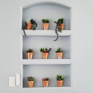 May include: A white wall with a built-in shelf unit containing nine small potted plants. The plants are all green and have different types of leaves. The shelf unit is made of white wood and has three shelves. The wall is painted a light blue color.
