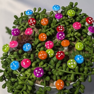 Fairy garden accessories mushrooms miniature terrarium accessories, outdoor garden supplies,  plant pots decoration, plants decoration.